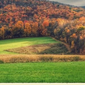 Meet your Posher, Janette